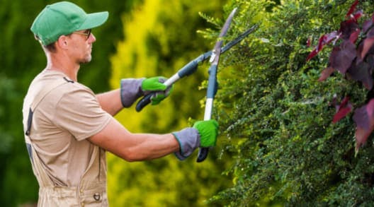Personal de Jardinería: Gana 1.200€/mes Sin Tener Experiencia - 192 Vacantes
